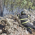 Rogo nel sottobosco sul Carso: intervento congiunto di terra e aria per domare le fiamme Rogo nel sottobosco sul Carso: intervento congiunto di terra e aria per domare le fiamme